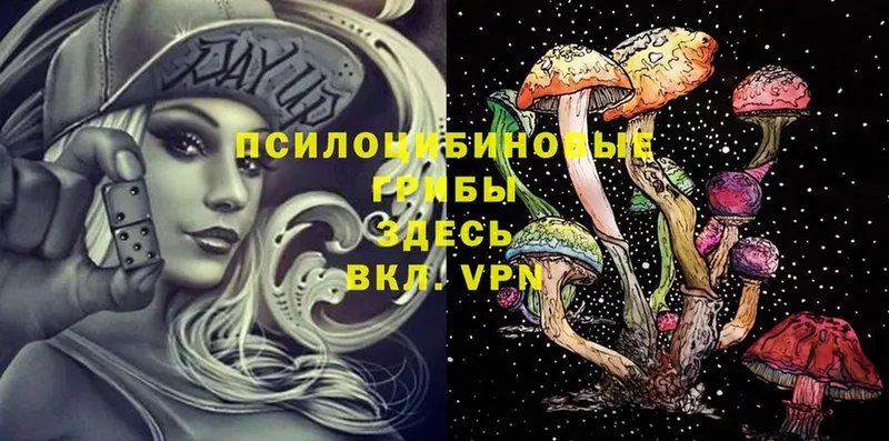 Псилоцибиновые грибы Psilocybine cubensis  hydra рабочий сайт  Димитровград  наркота 